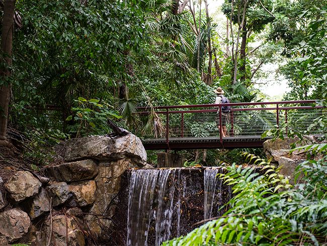 Darwin Botantical  Gardens