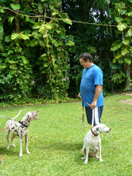 Greg and his beloved pooch having a chat. We think the dog was complaing as he was just about to go into the Hydro Bath