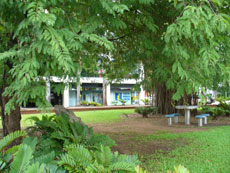 Tourism Top End - the closed old buidling on Mitchell Street.